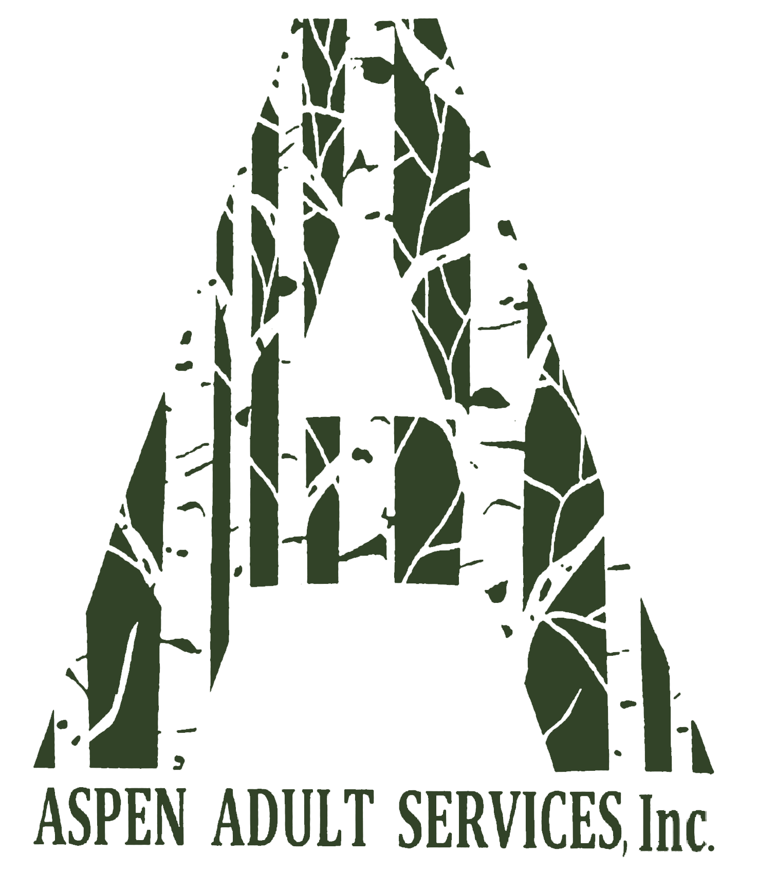 ASPEN ADULT SERVICES, Inc. 